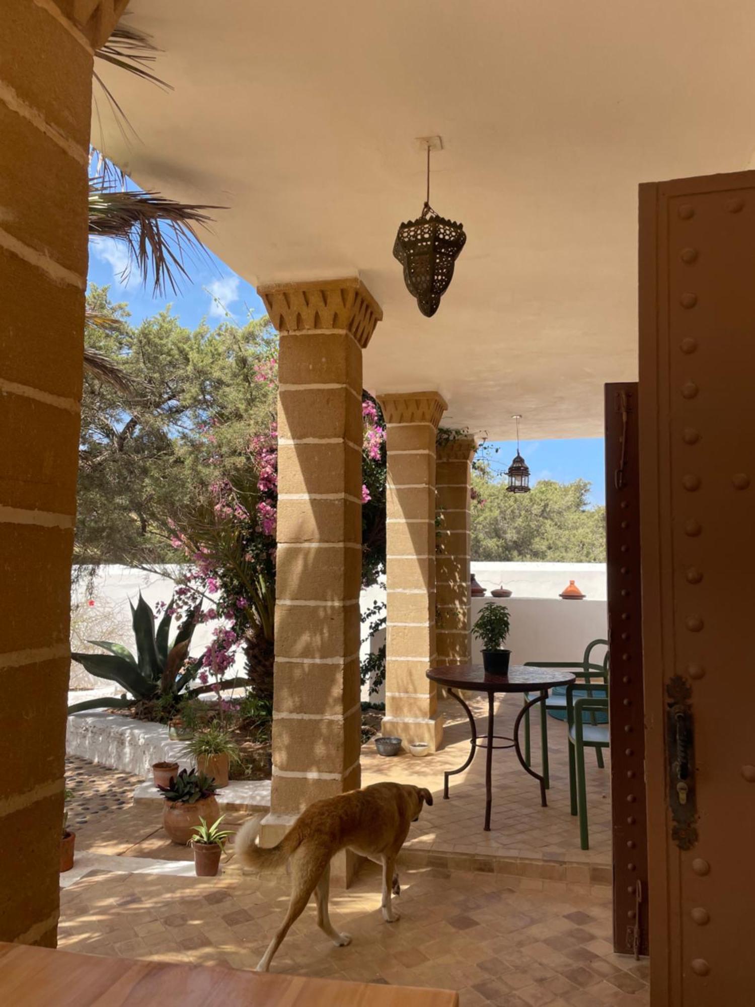 Hotel Villa Soleil Сиди-Кауки Экстерьер фото