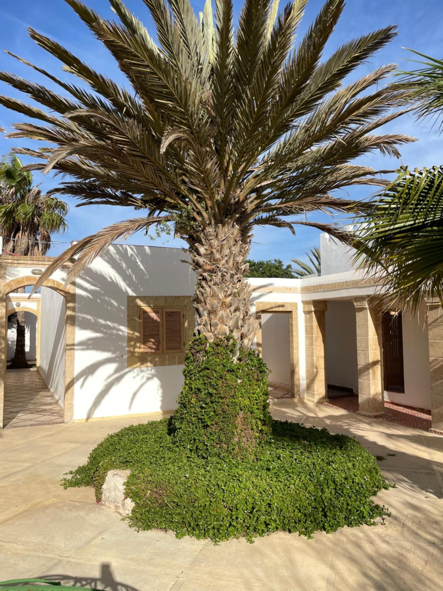 Hotel Villa Soleil Сиди-Кауки Экстерьер фото
